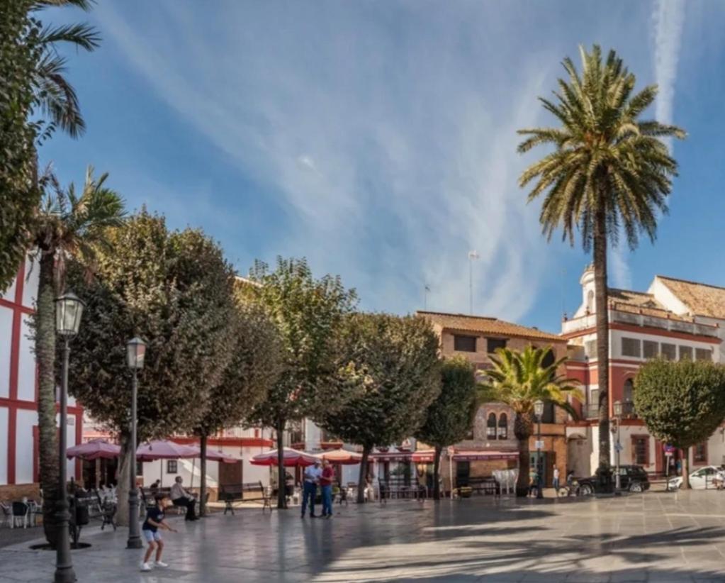 Homestay Karmo Carmona (Seville)